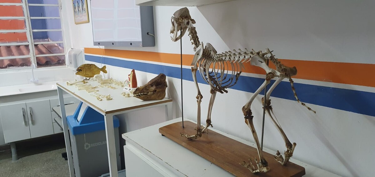 Laboratório de Veterinária