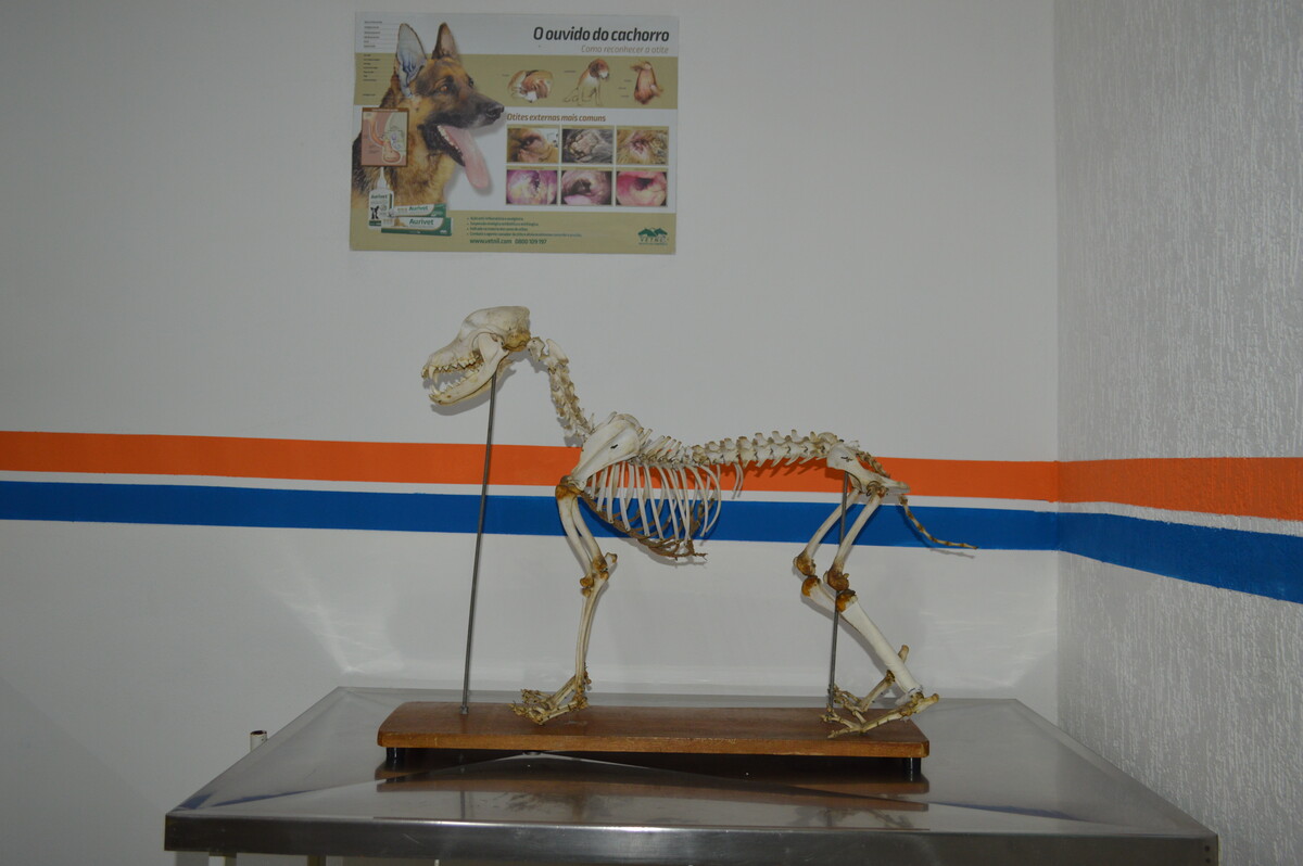 Laboratório de Veterinária