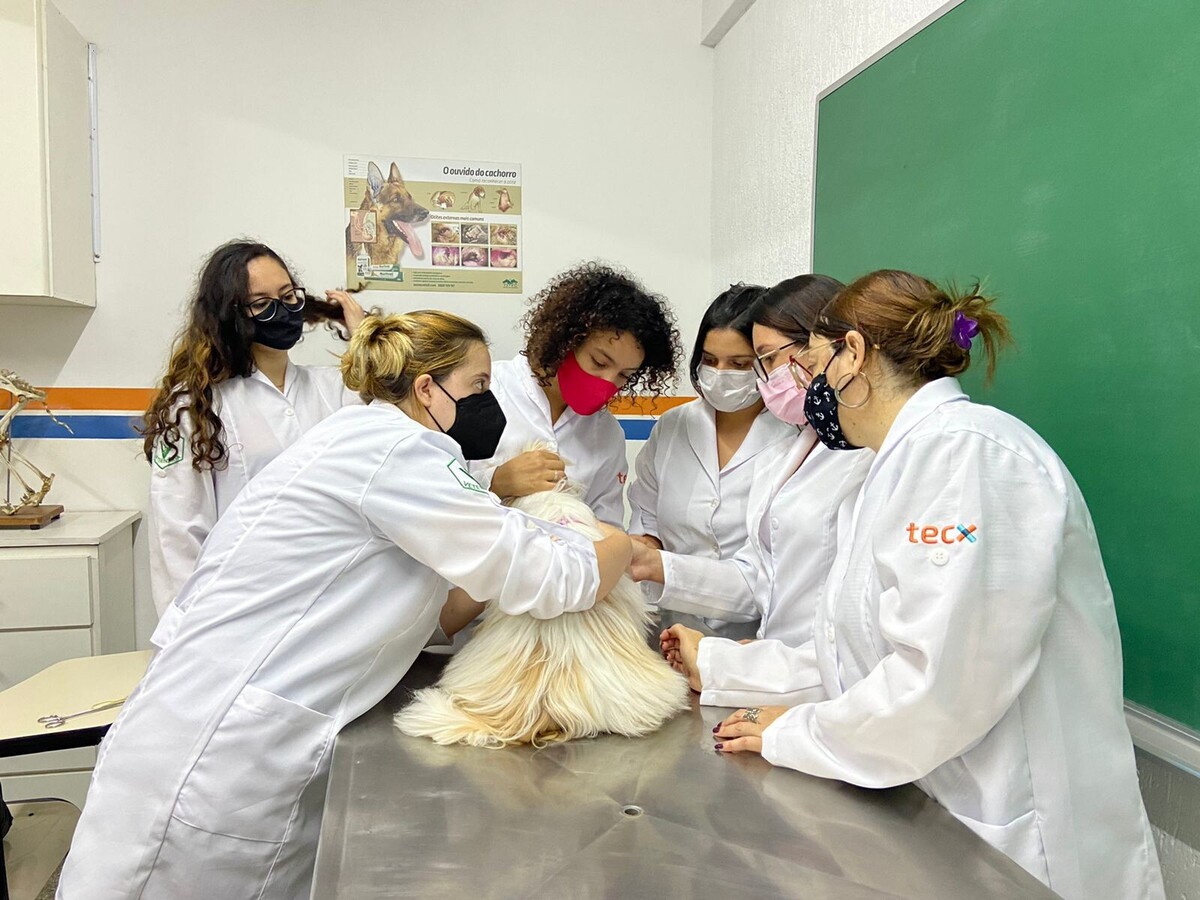 Alunas de Veterinária